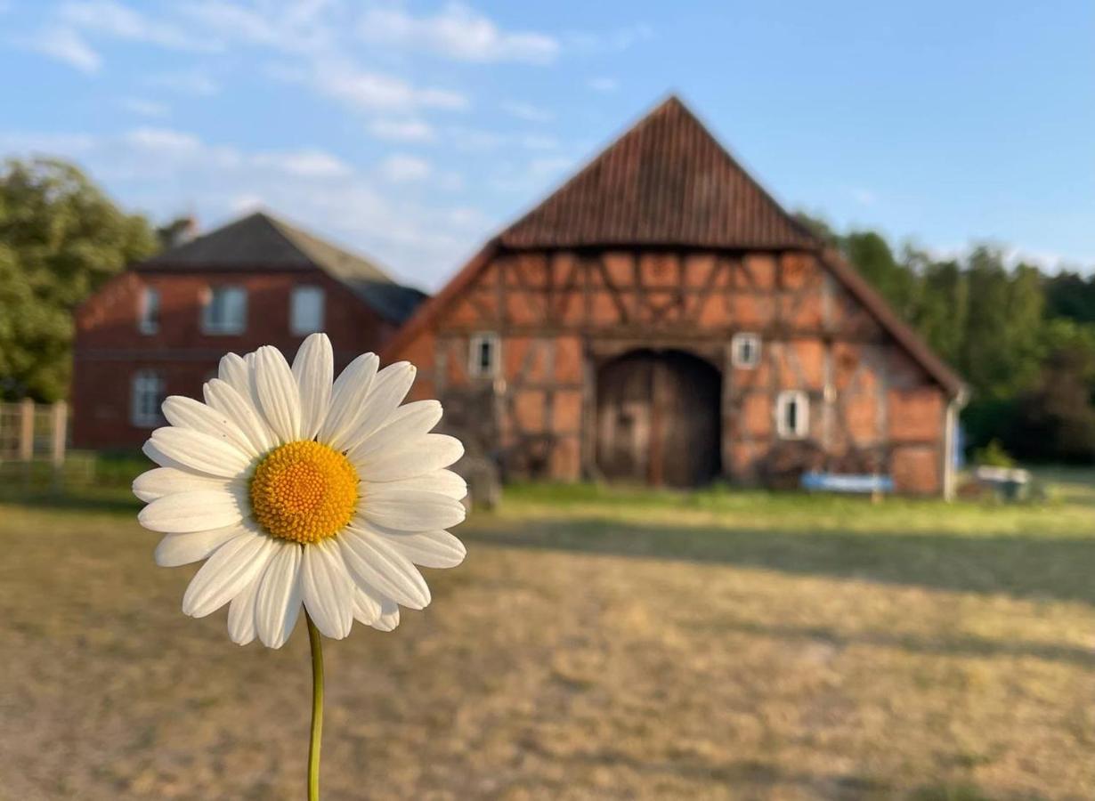 Ferienwohnung Elbsegler ブレッケーデ エクステリア 写真